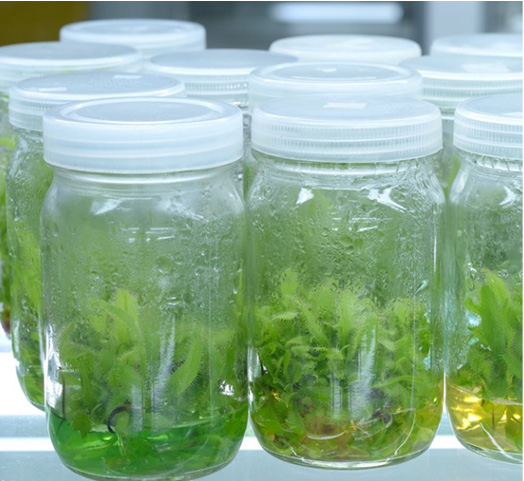 菲律宾欧博(ABG)官方网站