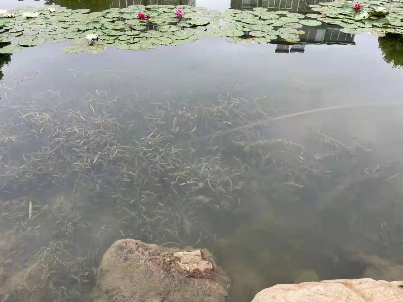 菲律宾欧博(ABG)官方网站