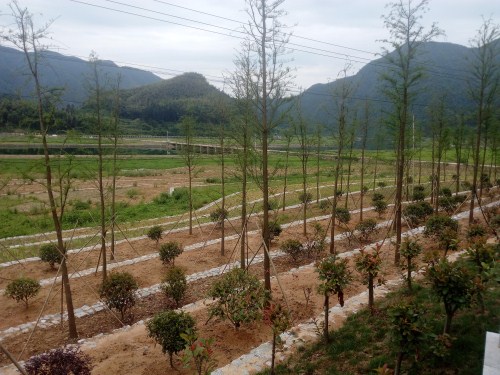 菲律宾欧博(ABG)官方网站