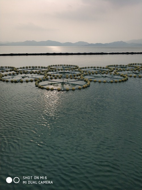 菲律宾欧博(ABG)官方网站