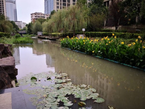菲律宾欧博(ABG)官方网站