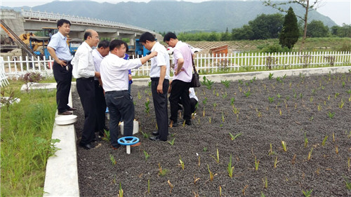 菲律宾欧博(ABG)官方网站