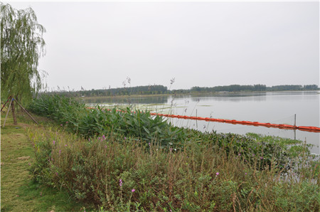 菲律宾欧博(ABG)官方网站