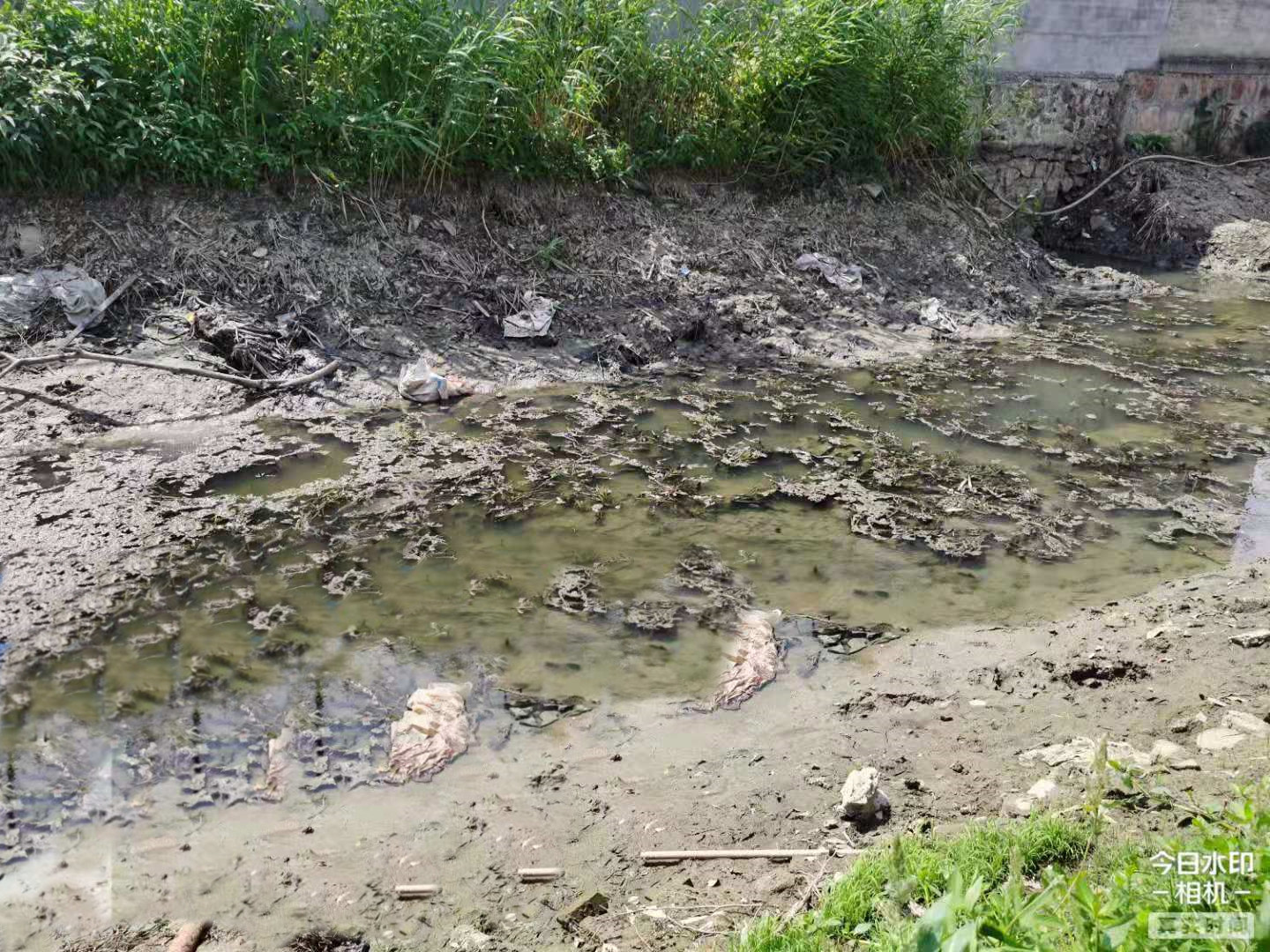 菲律宾欧博(ABG)官方网站