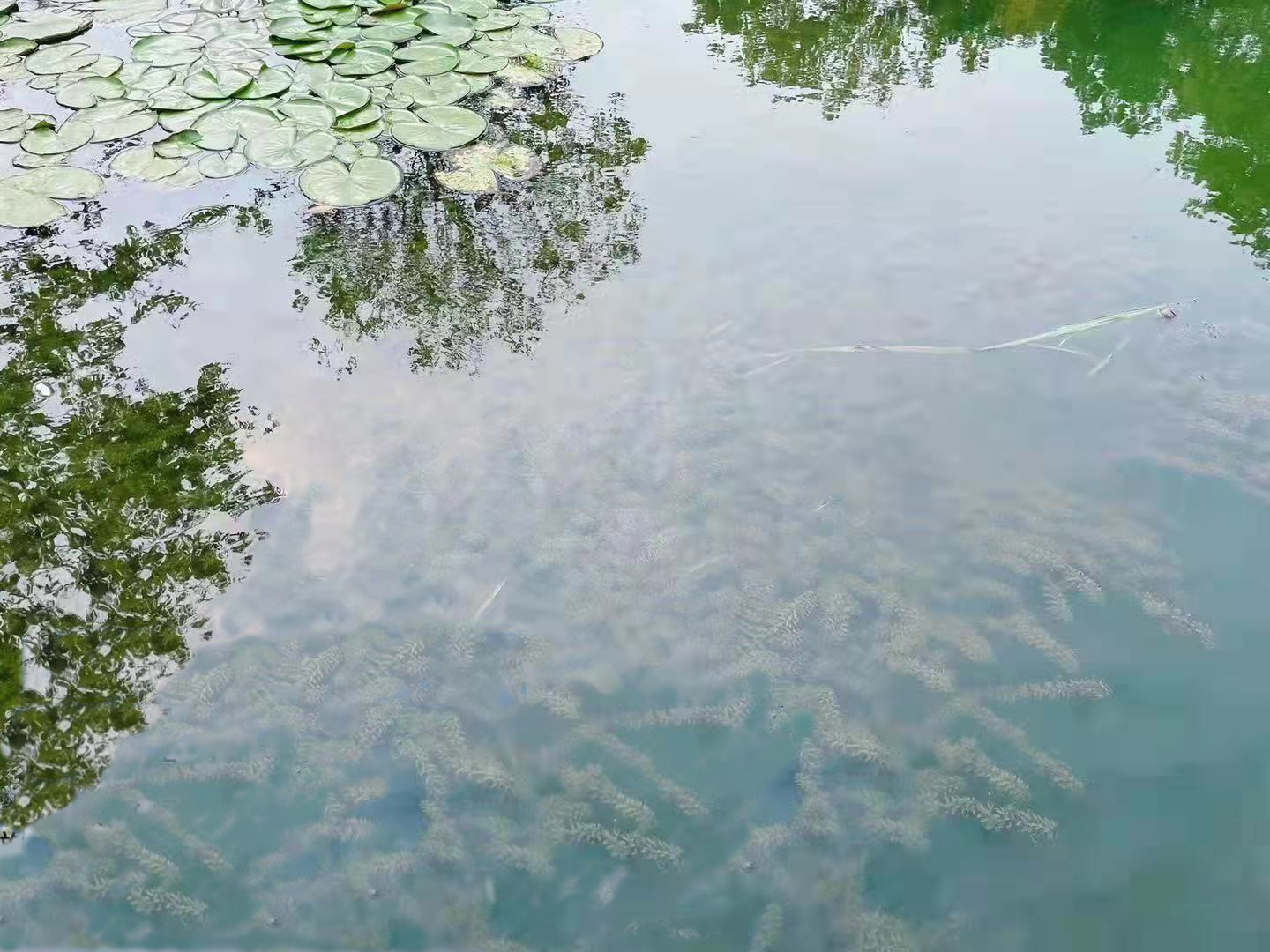 菲律宾欧博(ABG)官方网站