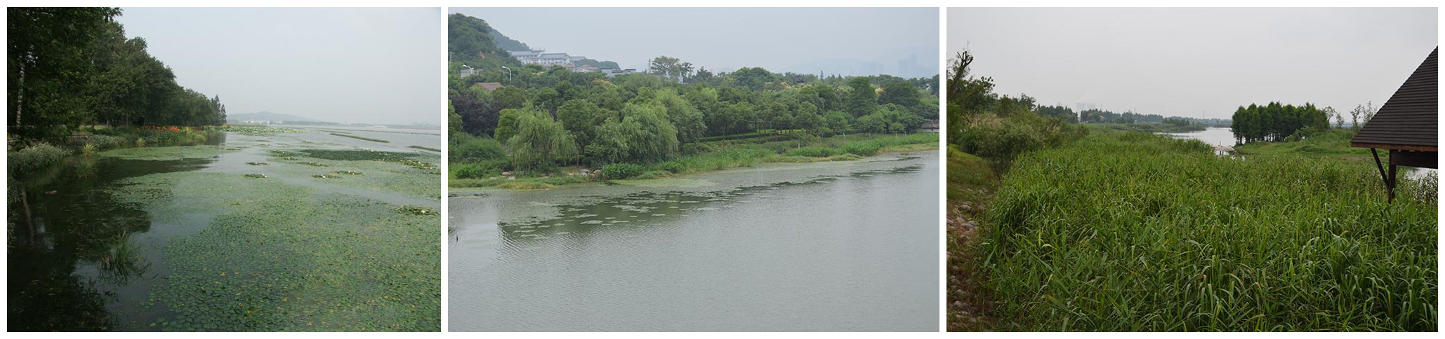 菲律宾欧博(ABG)官方网站