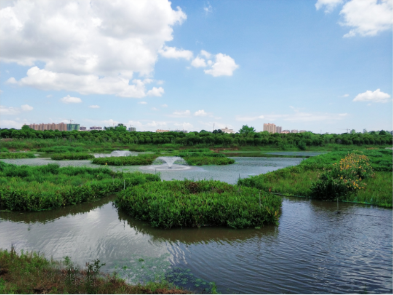 菲律宾欧博(ABG)官方网站