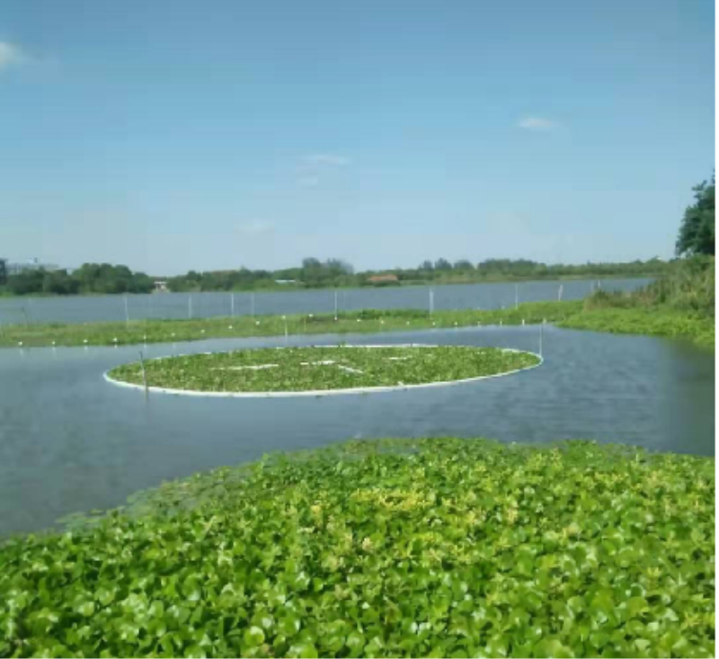 菲律宾欧博(ABG)官方网站