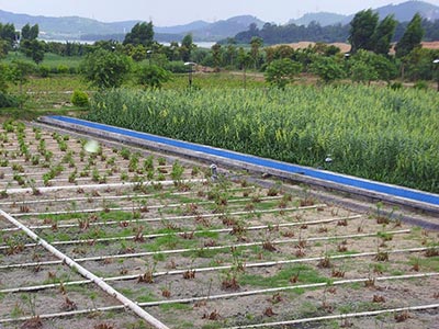 菲律宾欧博(ABG)官方网站