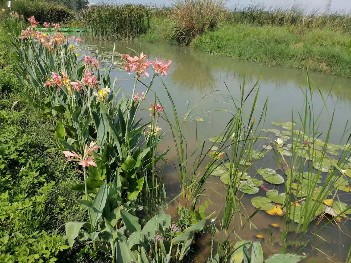 菲律宾欧博(ABG)官方网站