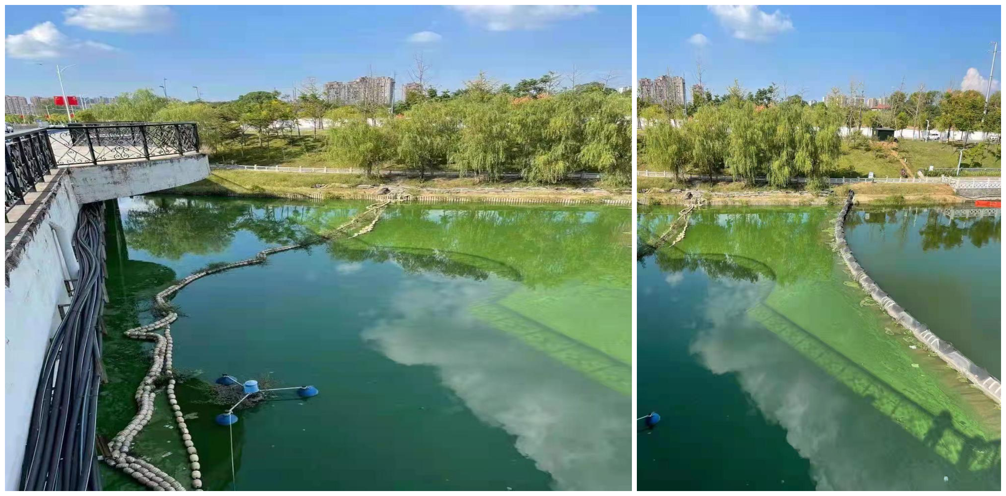 菲律宾欧博(ABG)官方网站