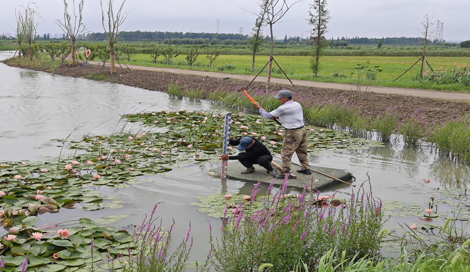 菲律宾欧博(ABG)官方网站