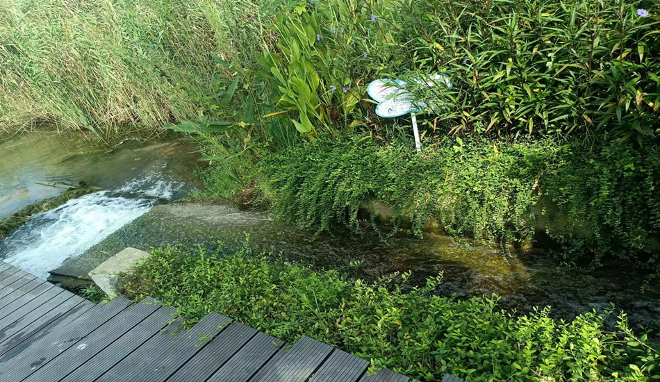 菲律宾欧博(ABG)官方网站