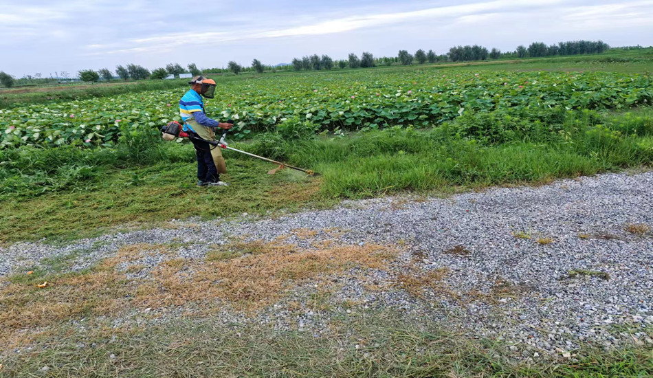 菲律宾欧博(ABG)官方网站