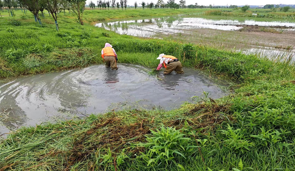 菲律宾欧博(ABG)官方网站