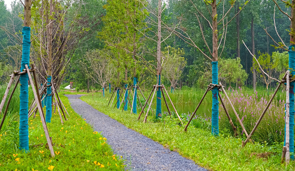 菲律宾欧博(ABG)官方网站