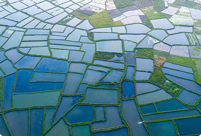 农村、农业面源污染精准化治理