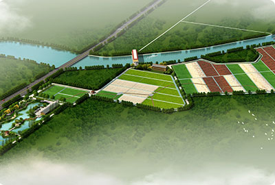 市政尾水的深度净化与处置惩罚