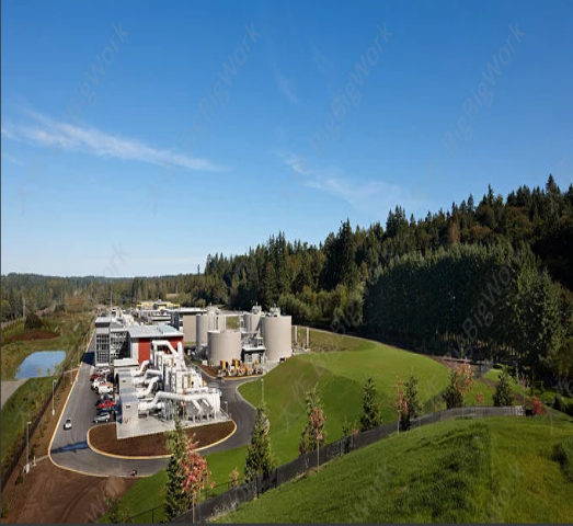 污水处置惩罚厂尾水深度生态净化手艺