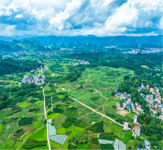 农村生涯污水生态处置惩罚手艺