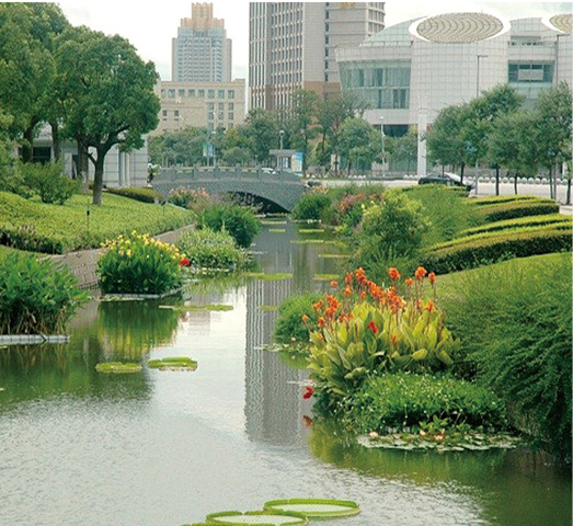 河流生态系统构建手艺