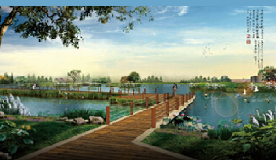 人工湿地水质净化工程