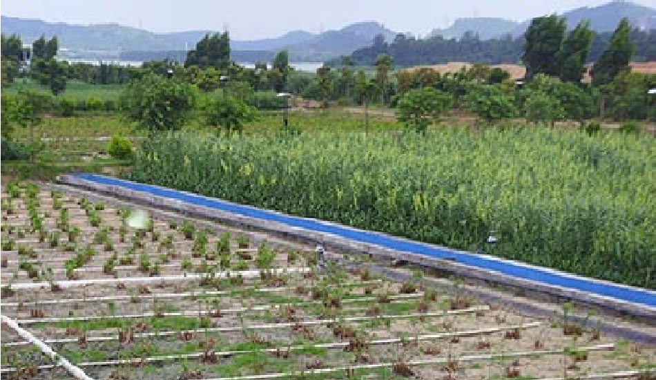 黄山麻川河流域情形综合整治工程