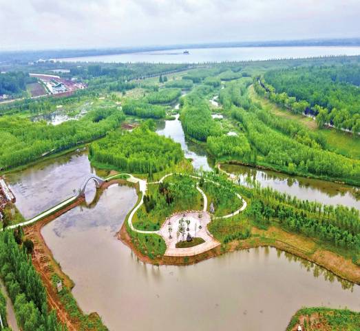 湖滨缓冲带构建手艺