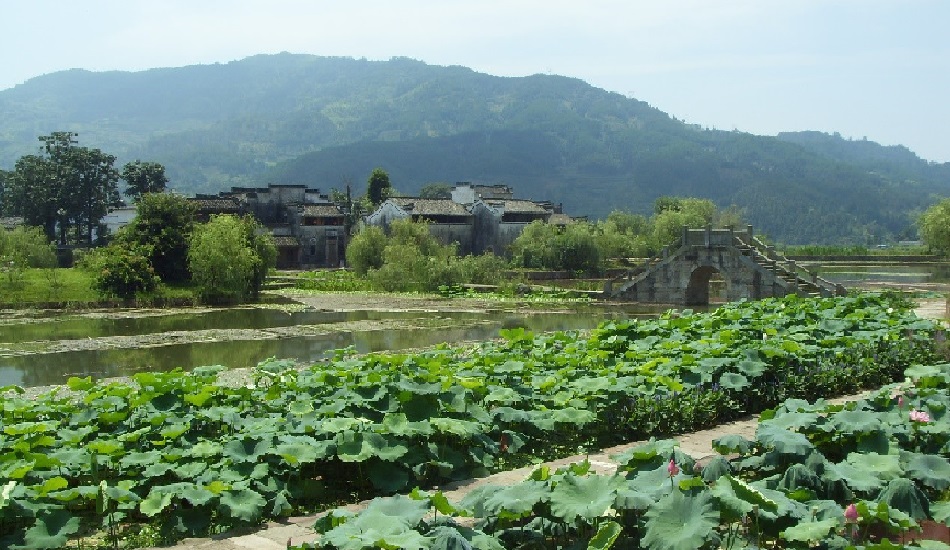 黄山呈坎景观湖水质净化工程