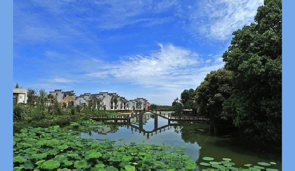 建设漂亮中国 推进农业农村现代生态情形治理