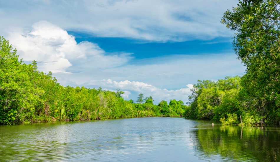 六部分联合印发计划 综合治理太湖流域水情形