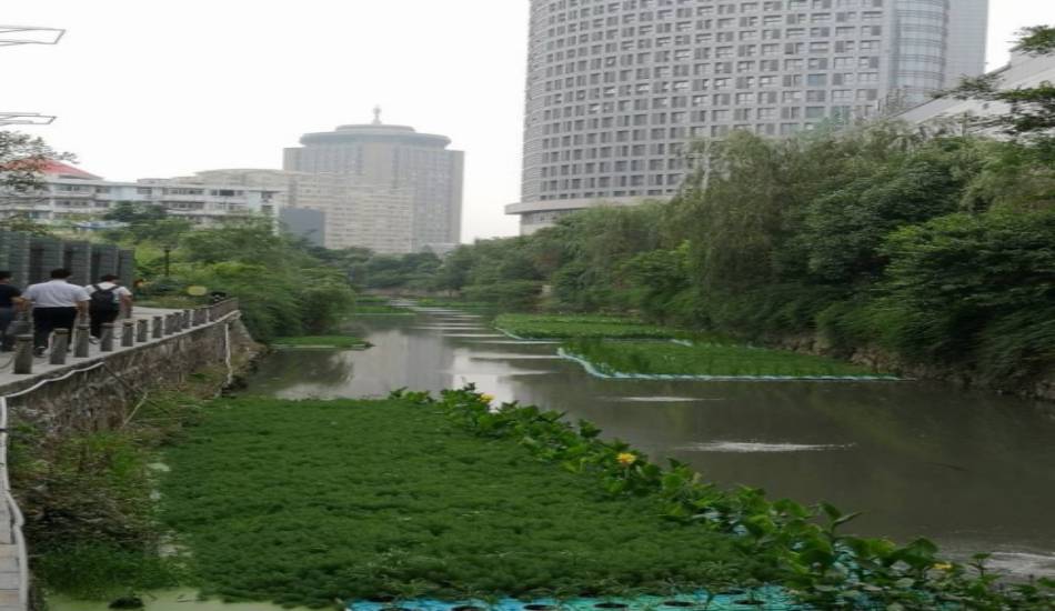 芜湖保兴垾文化路支沟黑臭水体整治工程