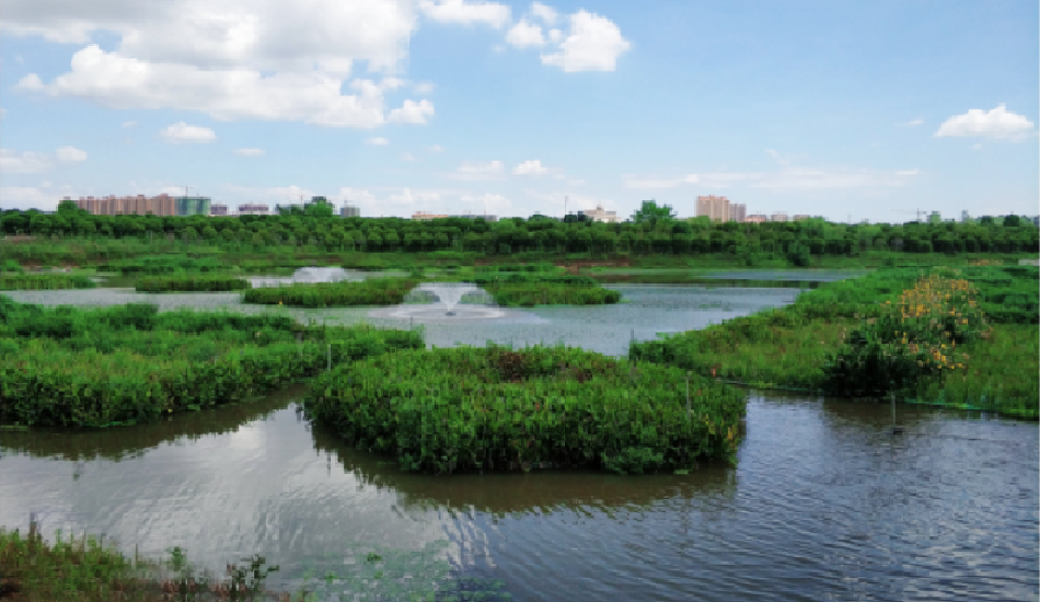 南昌桑海工业园水生态修复与水质提升工程项目效果显著