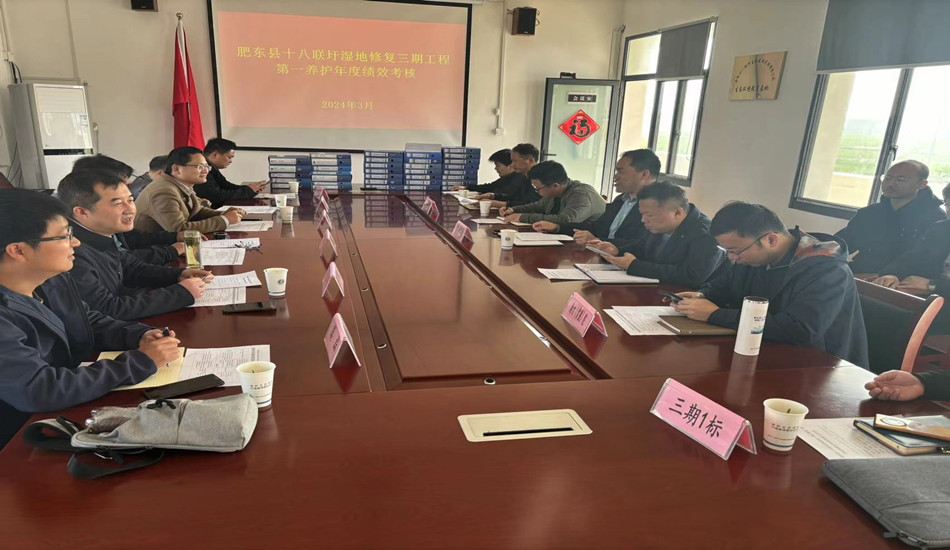 肥东县十八联圩湿地修复三期工程第一养护年度绩效审核