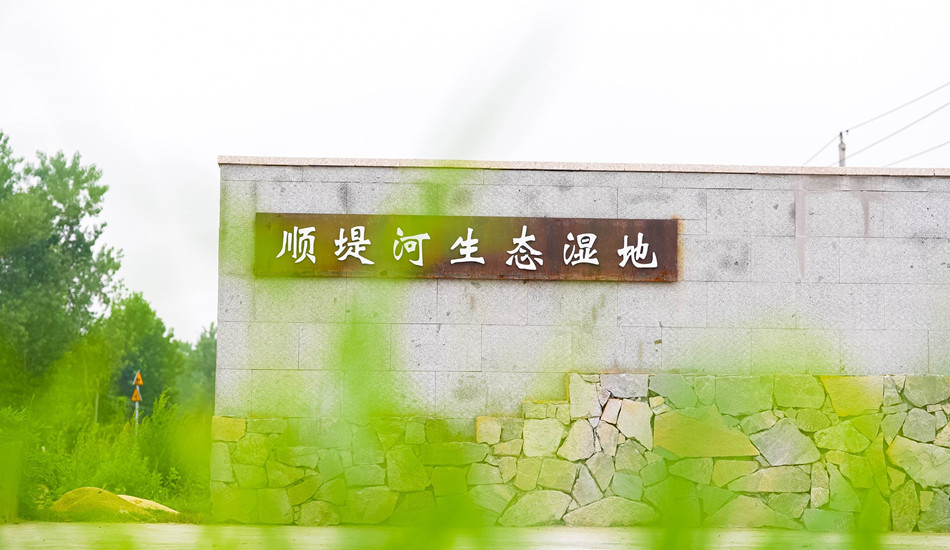 鼓足劲头！公司项目取得显著希望